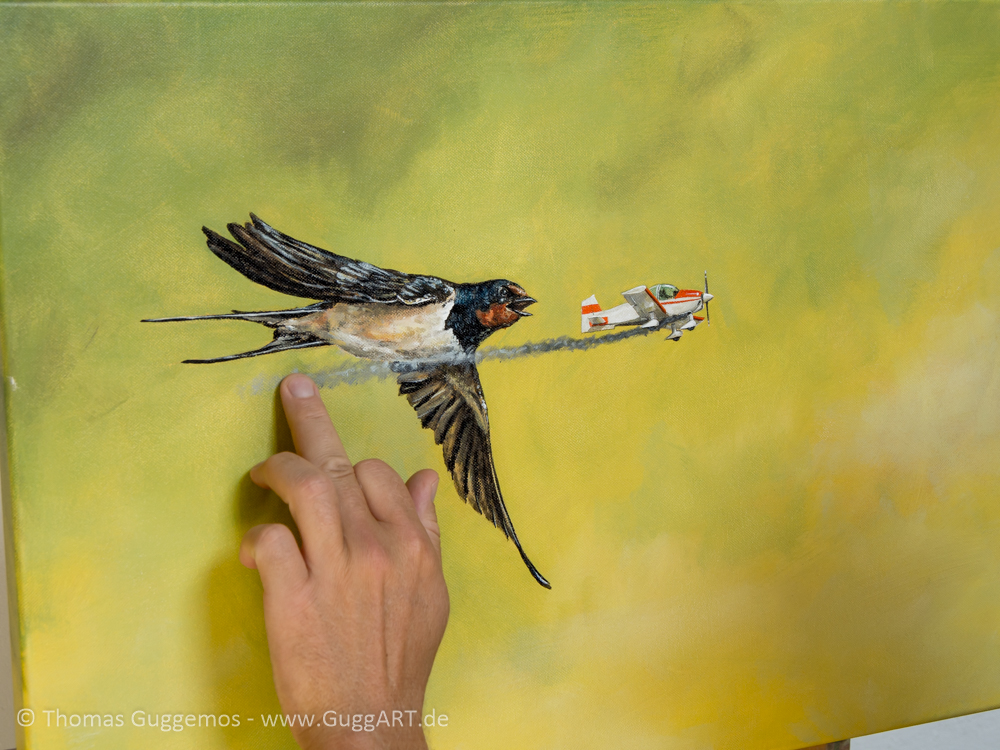 Vogel Und Flugzeug Malen Realistisch Malen Mit Acrylfarbe