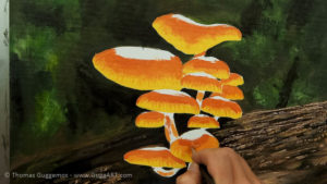 Pilze malen - Schirme werden zur Mitte immer dunkler
