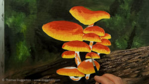 Pilze malen - Mit Rot-orange wird die Oberseite der Schirme bemalt
