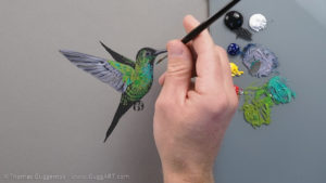 Kolibri malen mit Acryl - Blaue Brust