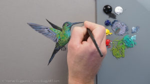 Kolibri malen mit Acryl - Der Schnabel